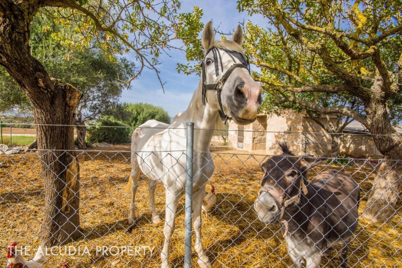 Finca Pegasus Alcúdia Esterno foto